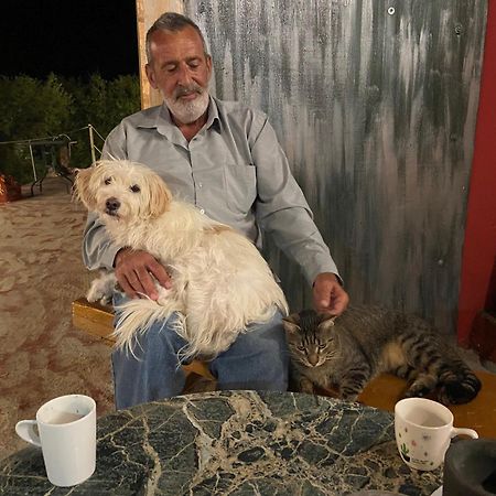 Art Studio Kefalonia Dhavgata Екстер'єр фото