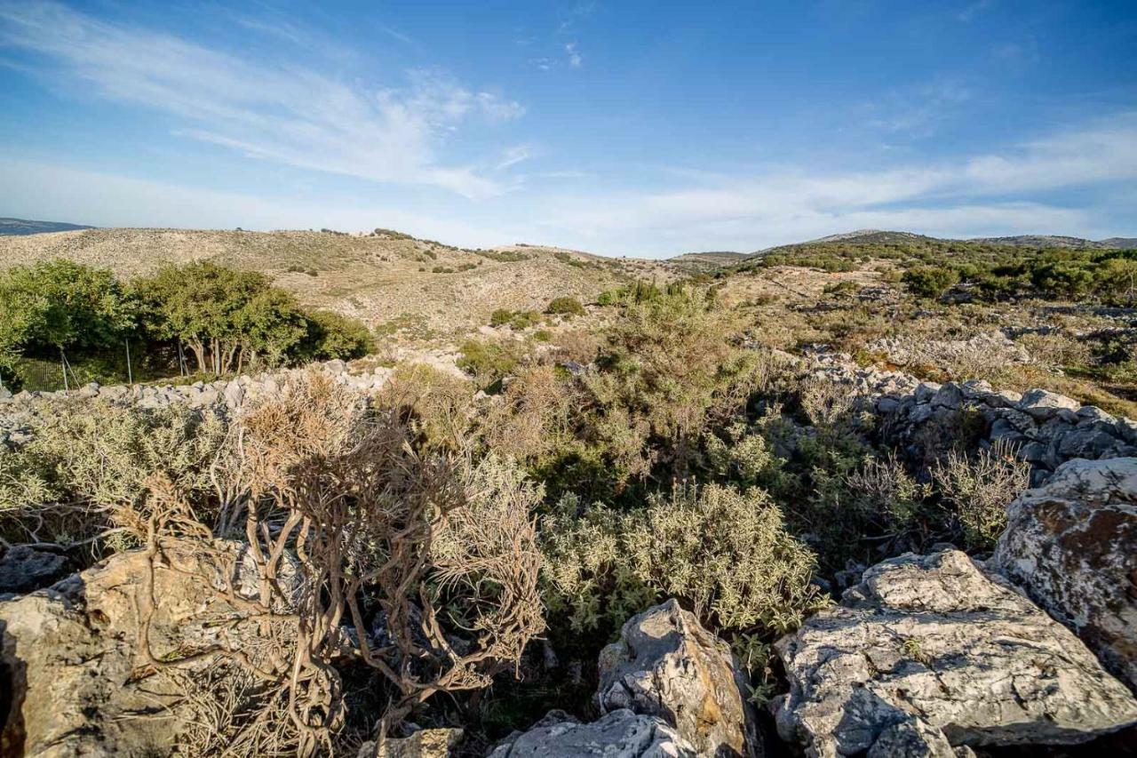Art Studio Kefalonia Dhavgata Екстер'єр фото