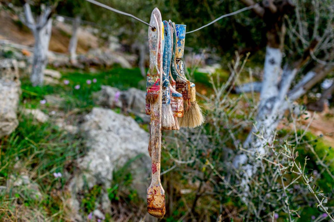 Art Studio Kefalonia Dhavgata Екстер'єр фото
