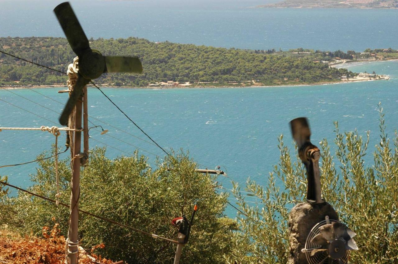 Art Studio Kefalonia Dhavgata Екстер'єр фото
